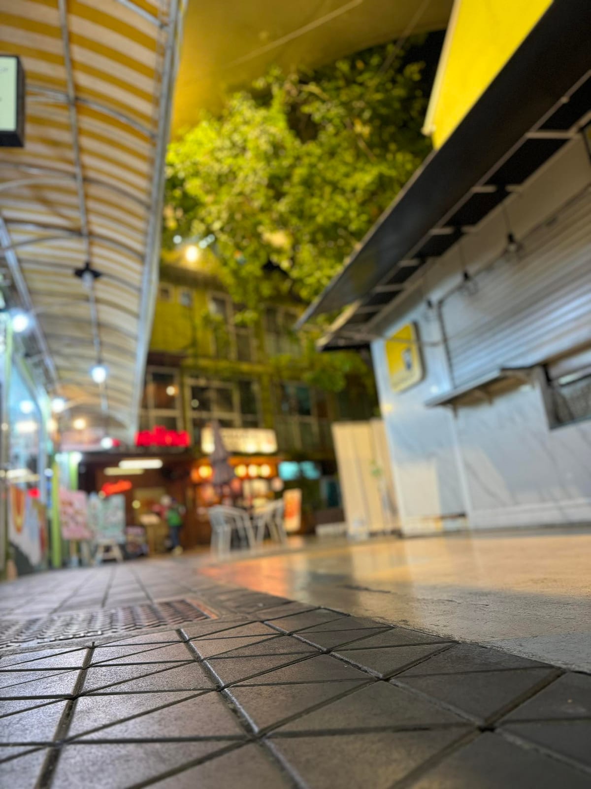 A Purrfect Night in Bangkok: Savoring the Street Food Delights! 🐾🍜🌃